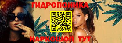 стафф Лесосибирск
