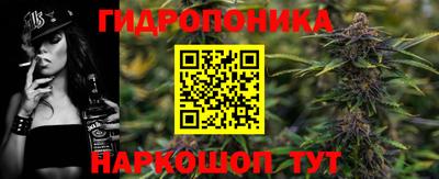 стафф Лесосибирск